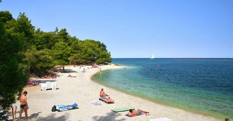 Appartamento Kuca Za Odmor Petra Cepljani Esterno foto