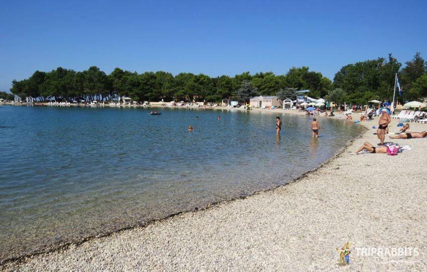 Appartamento Kuca Za Odmor Petra Cepljani Esterno foto